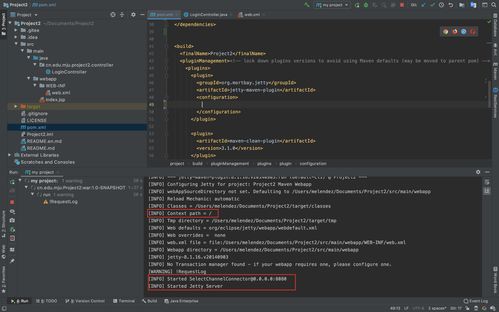 Java進(jìn)階開發(fā) Web服務(wù)搭建與計(jì)算機(jī)軟件開發(fā)及運(yùn)維服務(wù)詳解